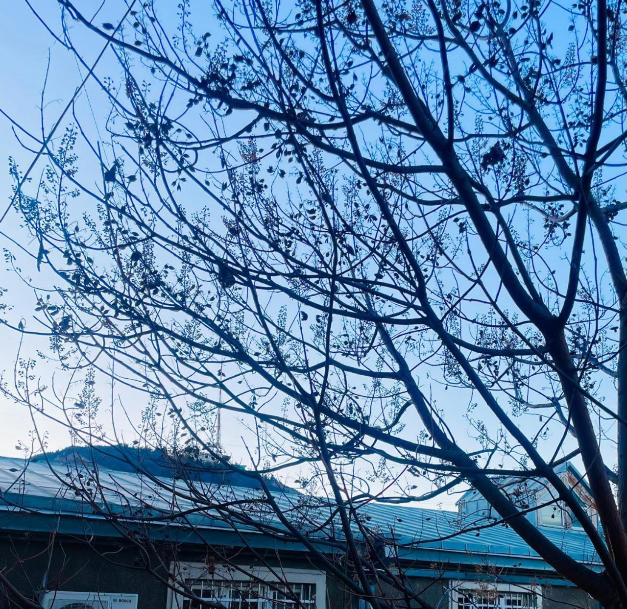 Art Hotel Tabidze Tbilisi Buitenkant foto